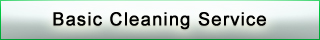 Basic Cleaning Service